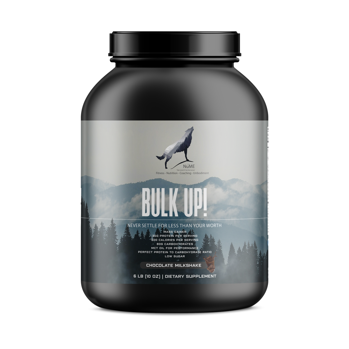 6lb Bulk Up! Mass Gainer Chocolate Milkshake